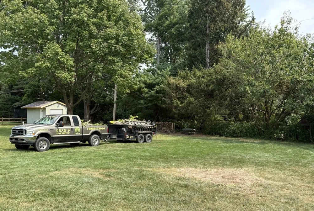 Reliable landscape installation in Springfield, OH by Deans Tree Service