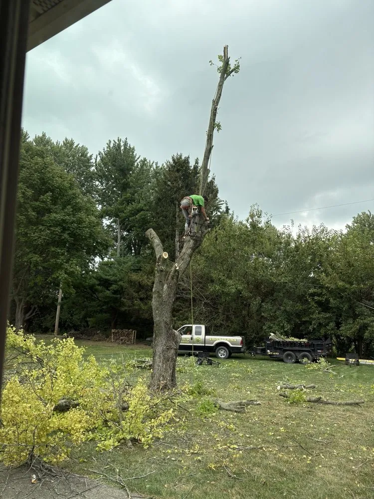 Professional lawn care service for residential properties in Springfield, OH by Deans Tree Service