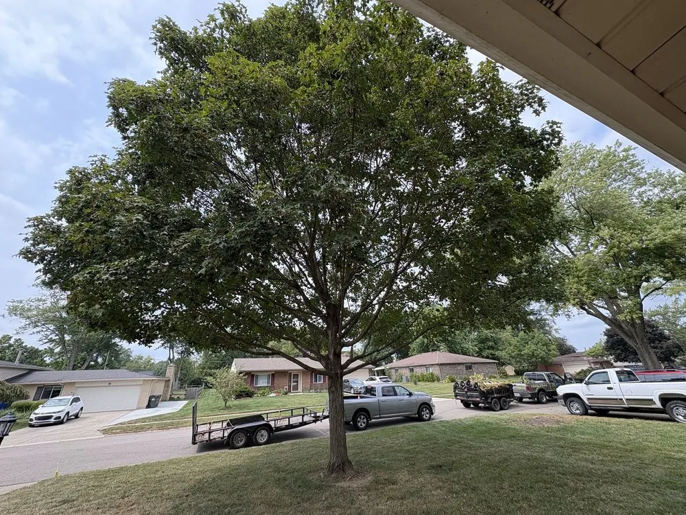 Top-rated garden landscaping experts serving Springfield, OH - Deans Tree Service