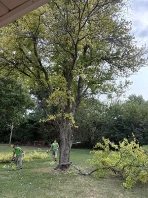 Deans Tree Service Logo