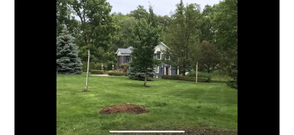 Top-rated outdoor landscaping experts serving Brownstown, MI - Dean’s Tree Transplanting & Landscaping