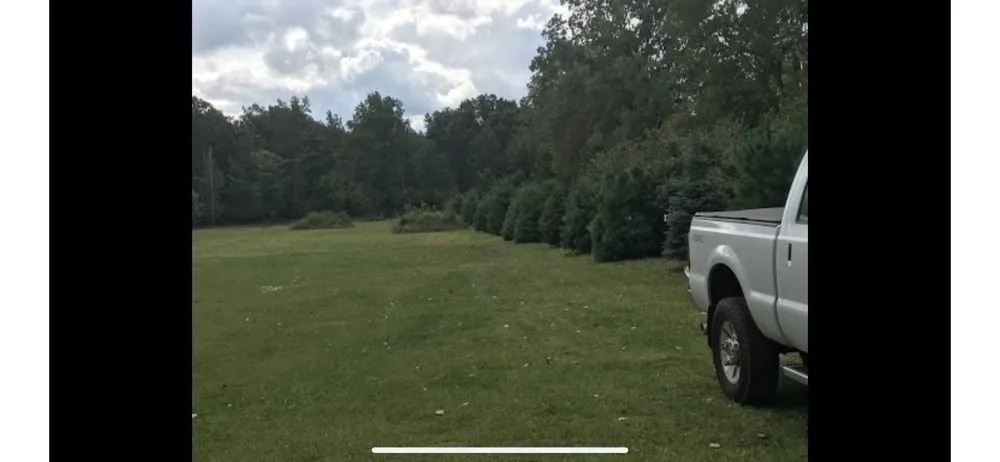 Affordable landscape installation in Brownstown, MI - Dean’s Tree Transplanting & Landscaping