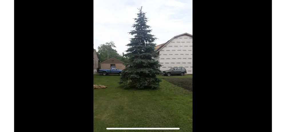 Reliable landscaping services in Brownstown, MI - Dean’s Tree Transplanting & Landscaping