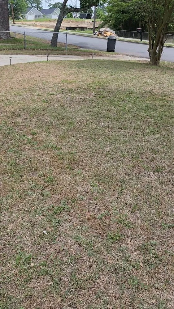 Custom landscape installation for year-round maintenance in Harlem, GA by Dean's Tru Green Cuts and more