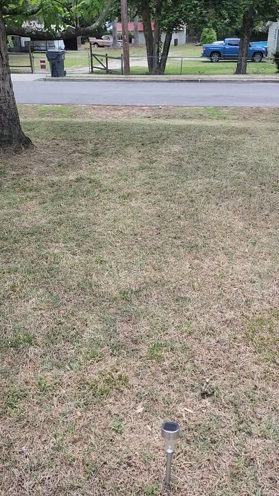 Affordable yard maintenance in Harlem, GA - Dean's Tru Green Cuts and more