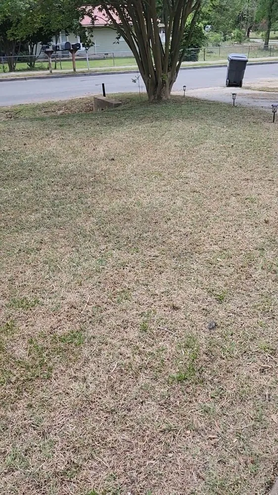 Trusted outdoor landscaping for outdoor upgrades in Harlem, GA by Dean's Tru Green Cuts and more