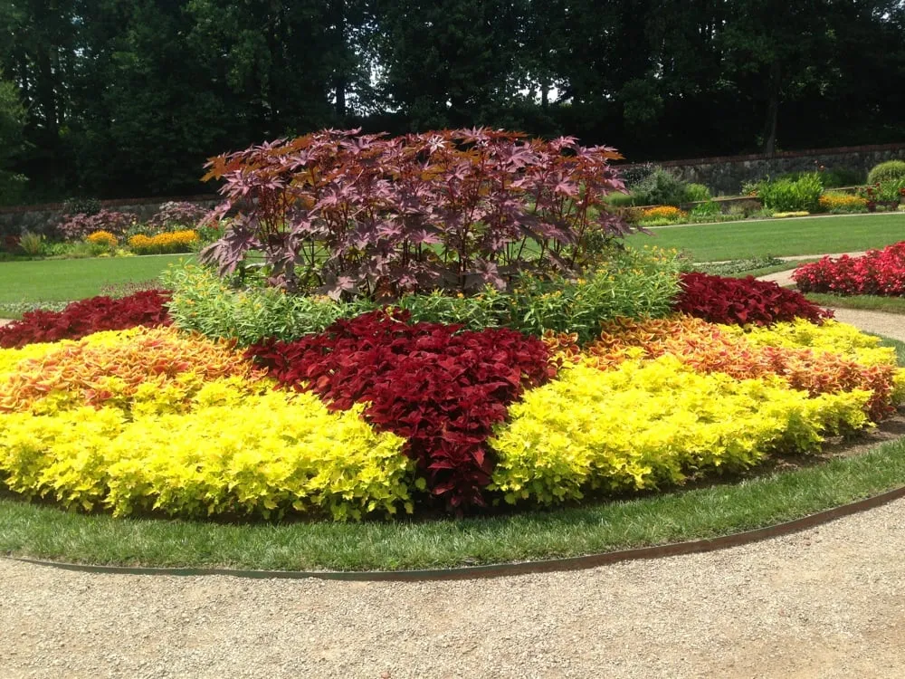 Professional yard maintenance experts serving Schererville, IN - Deans's Lawn & Landscaping Inc