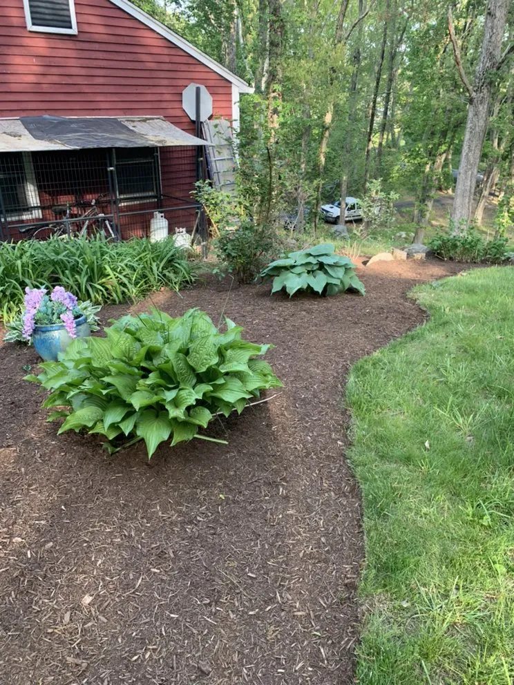 Reliable residential landscaping for outdoor upgrades across Westbrook, CT - DeAntonis Landscaping