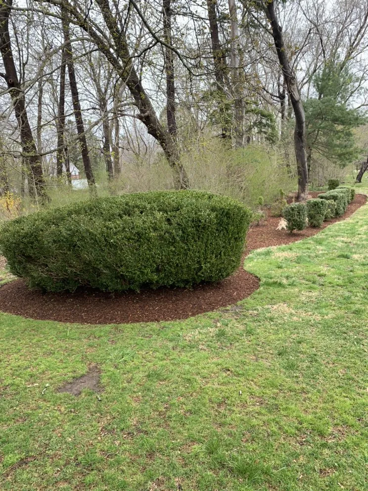 Trusted yard cleanup service with custom design across Westbrook, CT - DeAntonis Landscaping