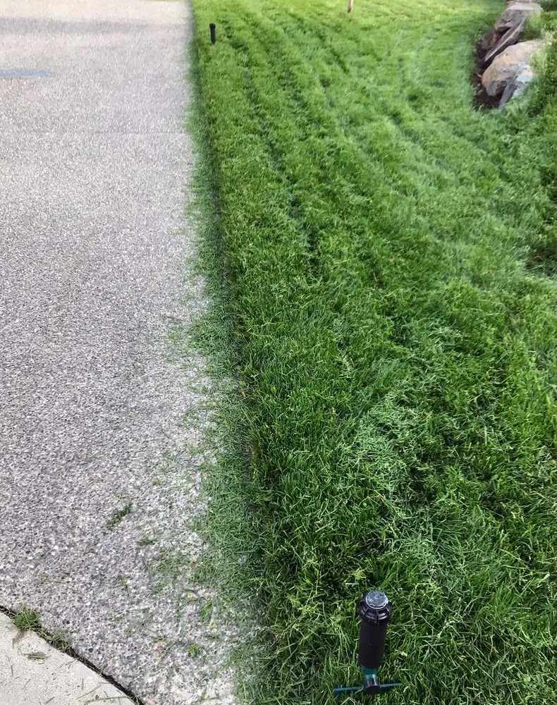 Reliable landscaping services in Washington DC, DC by Deanwood Lawn Care