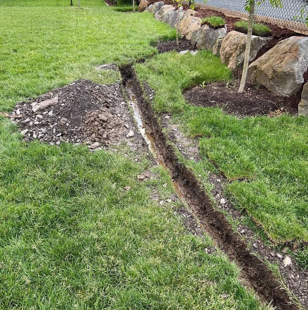 Expert yard maintenance in Washington DC, DC by Deanwood Lawn Care