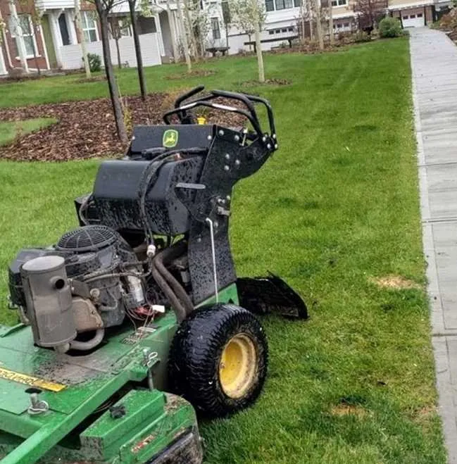 Professional outdoor landscaping for year-round maintenance across Washington DC, DC - Deanwood Lawn Care