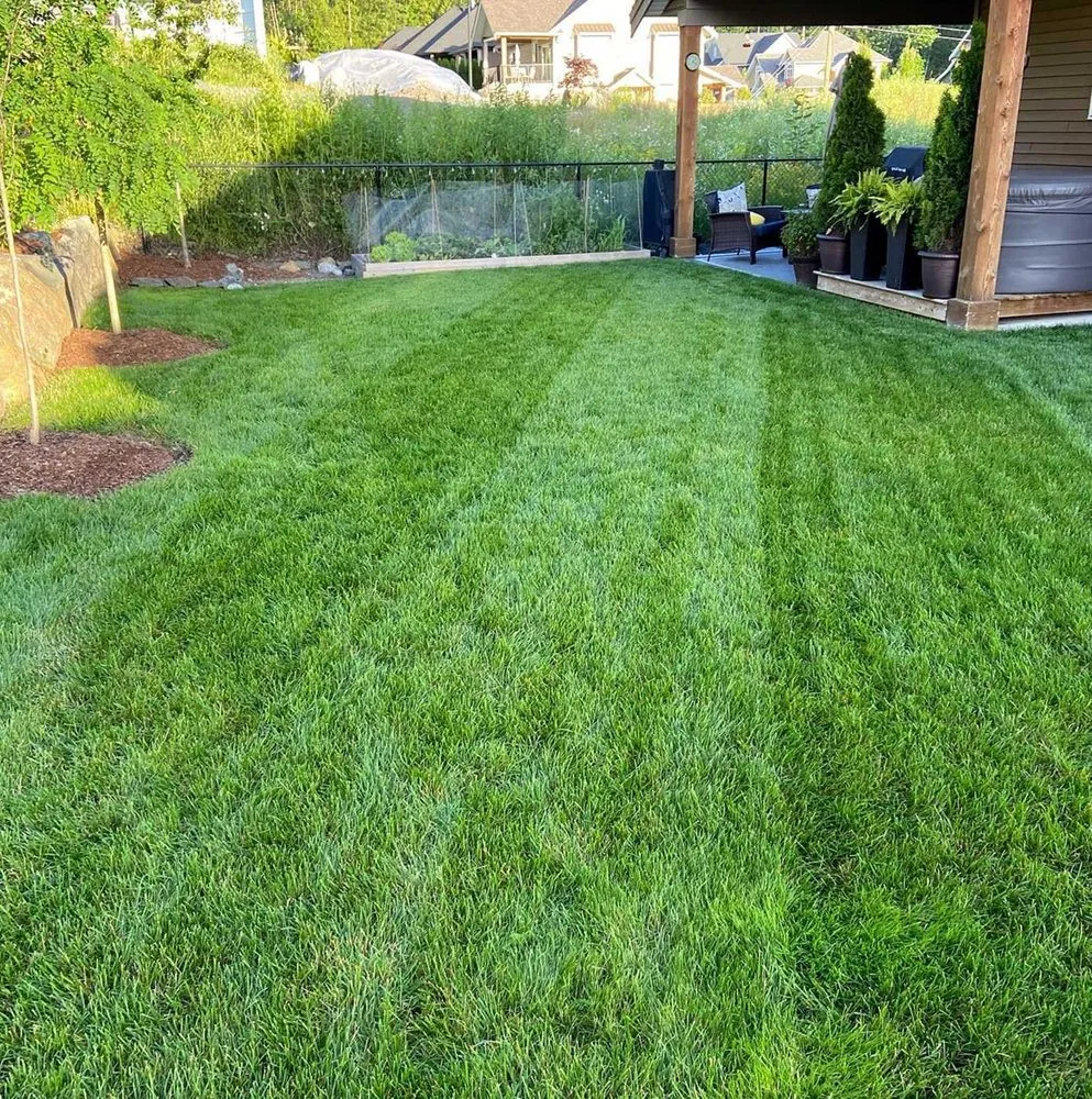 Expert landscaping services for residential properties across Washington DC, DC - Deanwood Lawn Care