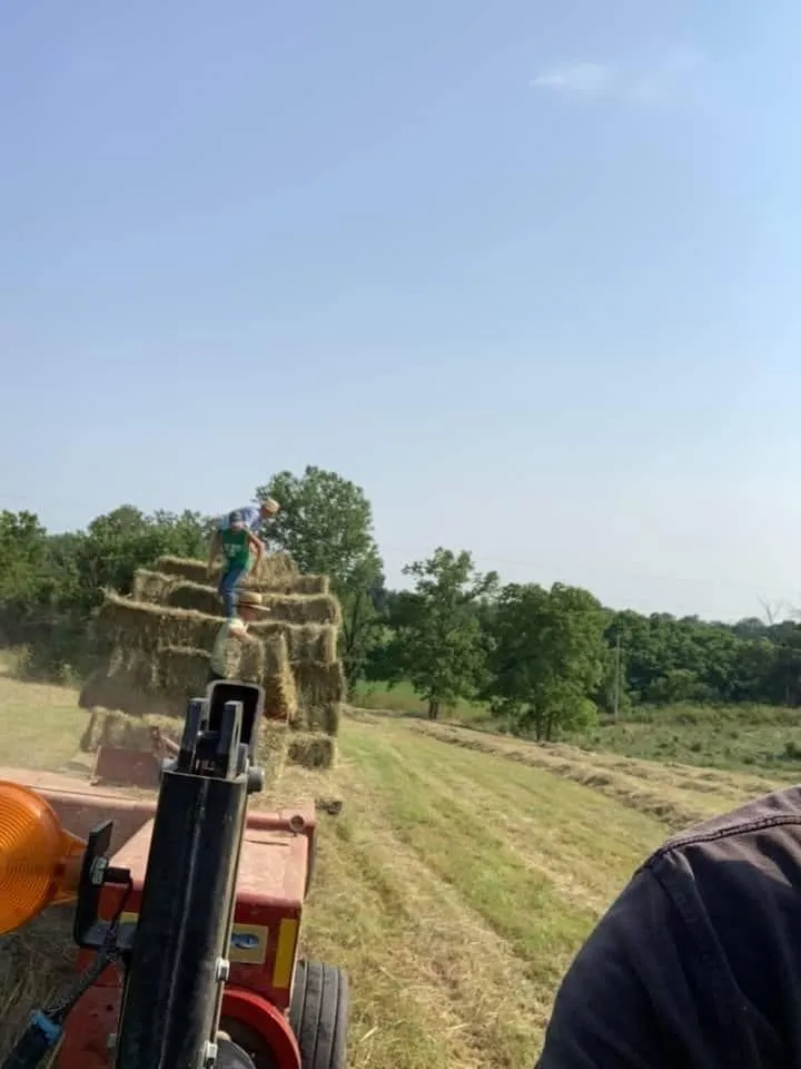 Top-rated garden landscaping for homes in Frankfort, OH by Dearing Farms General Contracting