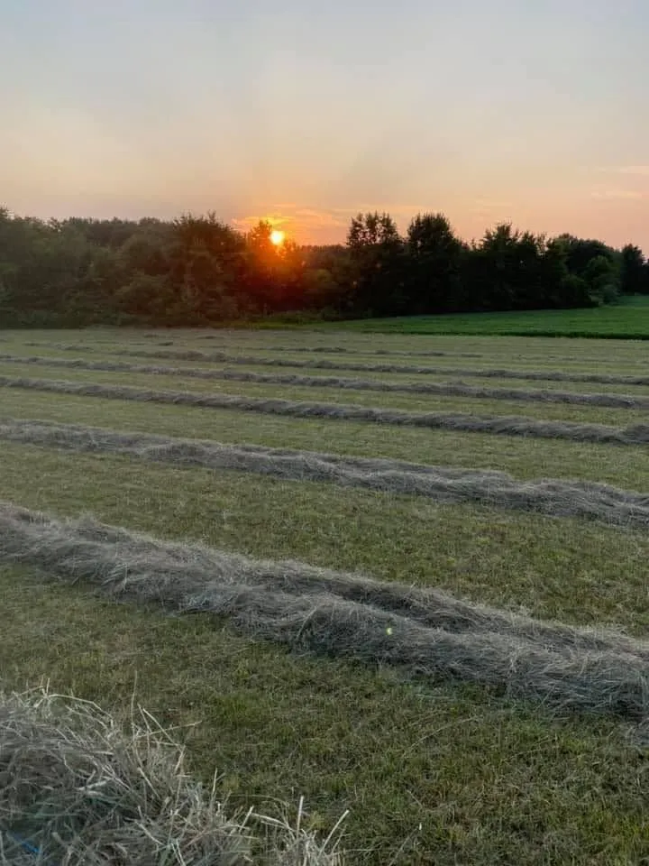 Expert garden landscaping in Frankfort, OH - Dearing Farms General Contracting