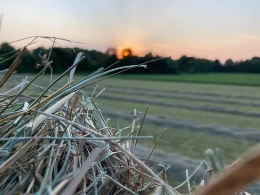 Dearing Farms General Contracting