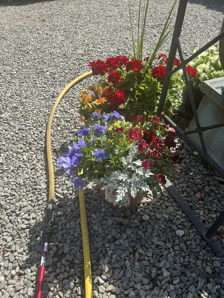 Trusted outdoor landscaping with custom design across Huntersville, NC - Dearness Gardens