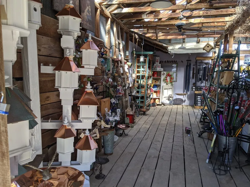 Reliable outdoor landscaping experts serving Huntersville, NC - Dearness Gardens