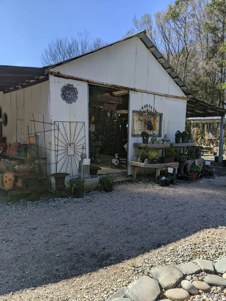 Affordable outdoor landscaping in Huntersville, NC by Dearness Gardens