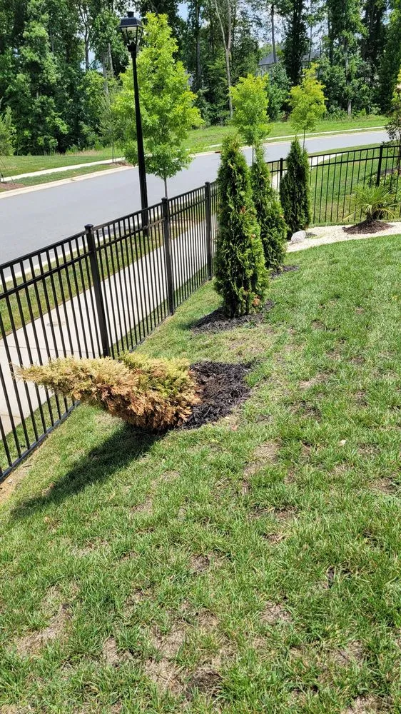 Custom residential landscaping experts serving Huntersville, NC - Dearness Gardens