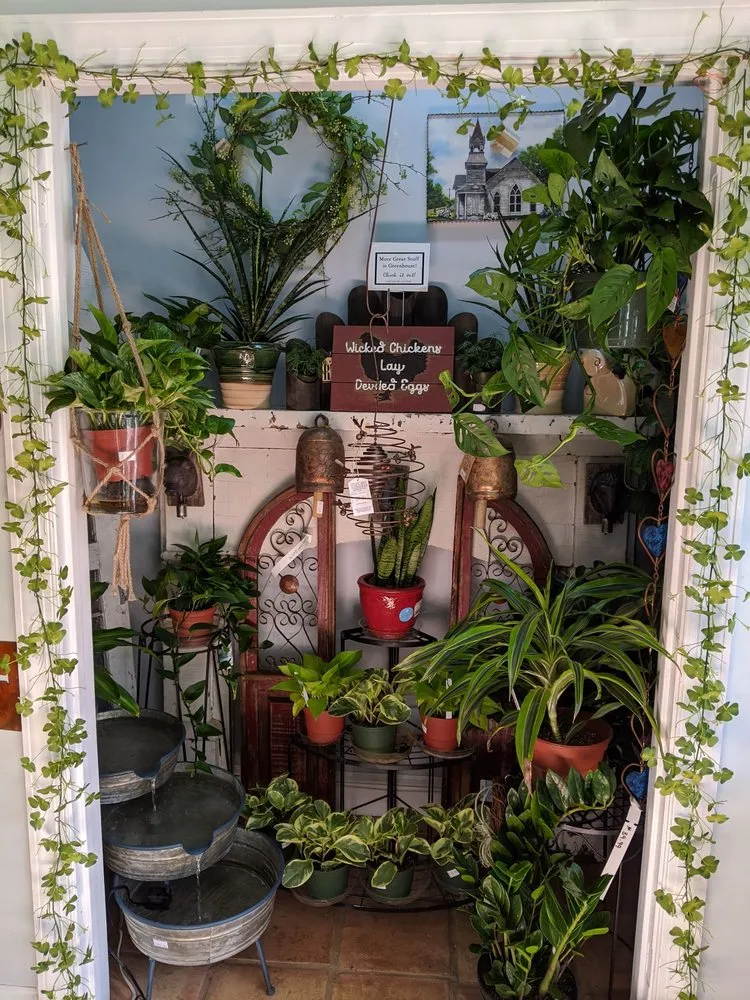 Custom lawn mowing service near you across Huntersville, NC - Dearness Gardens