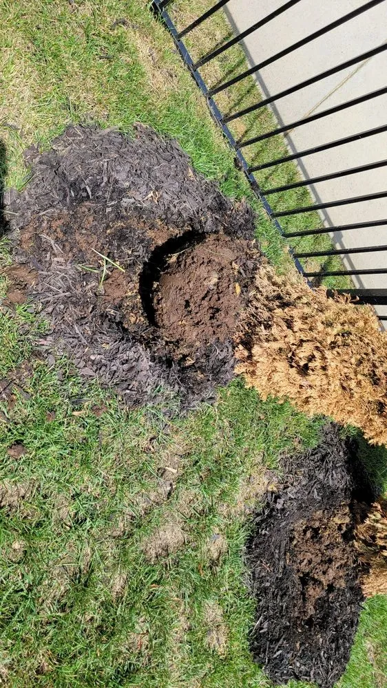 Expert lawn mowing service for outdoor upgrades in Huntersville, NC by Dearness Gardens