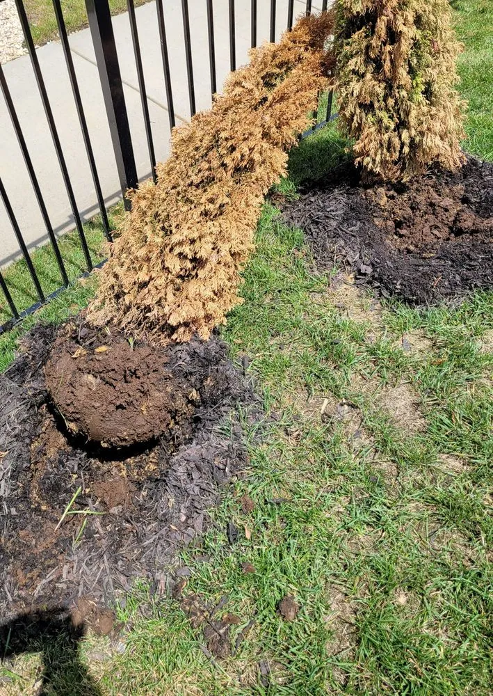 Reliable residential landscaping in Huntersville, NC by Dearness Gardens