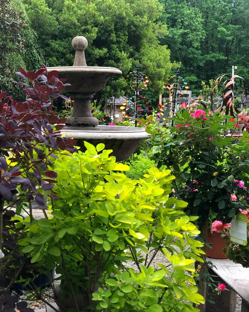 Reliable landscape design in Huntersville, NC - Dearness Gardens