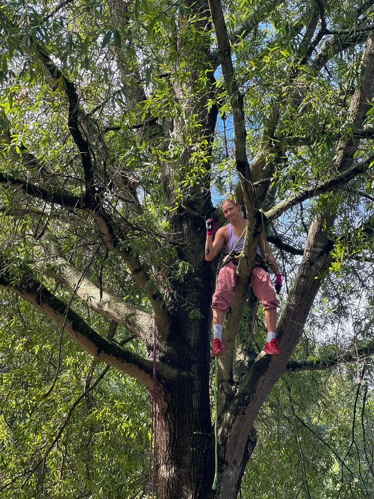 Custom landscape design experts serving Cornelius, NC - Dearness Tree Care