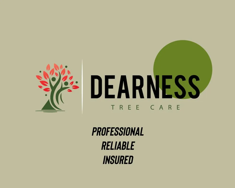 Trusted residential landscaping experts serving Cornelius, NC - Dearness Tree Care