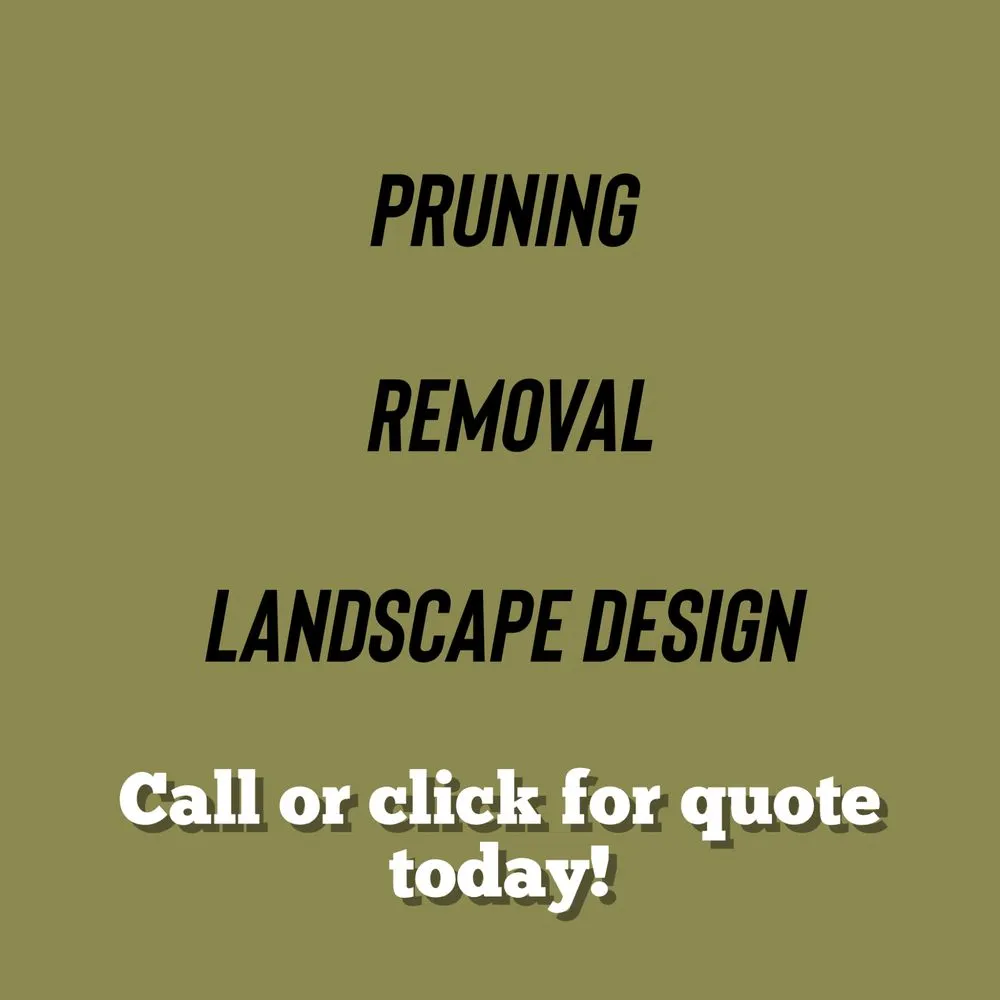Professional yard cleanup service experts serving Cornelius, NC - Dearness Tree Care