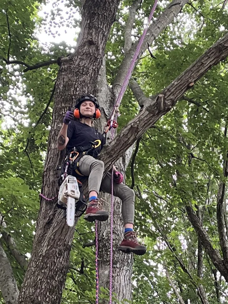 Affordable lawn mowing service in Cornelius, NC by Dearness Tree Care