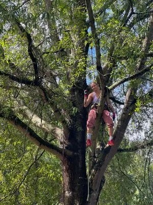 Dearness Tree Care Logo