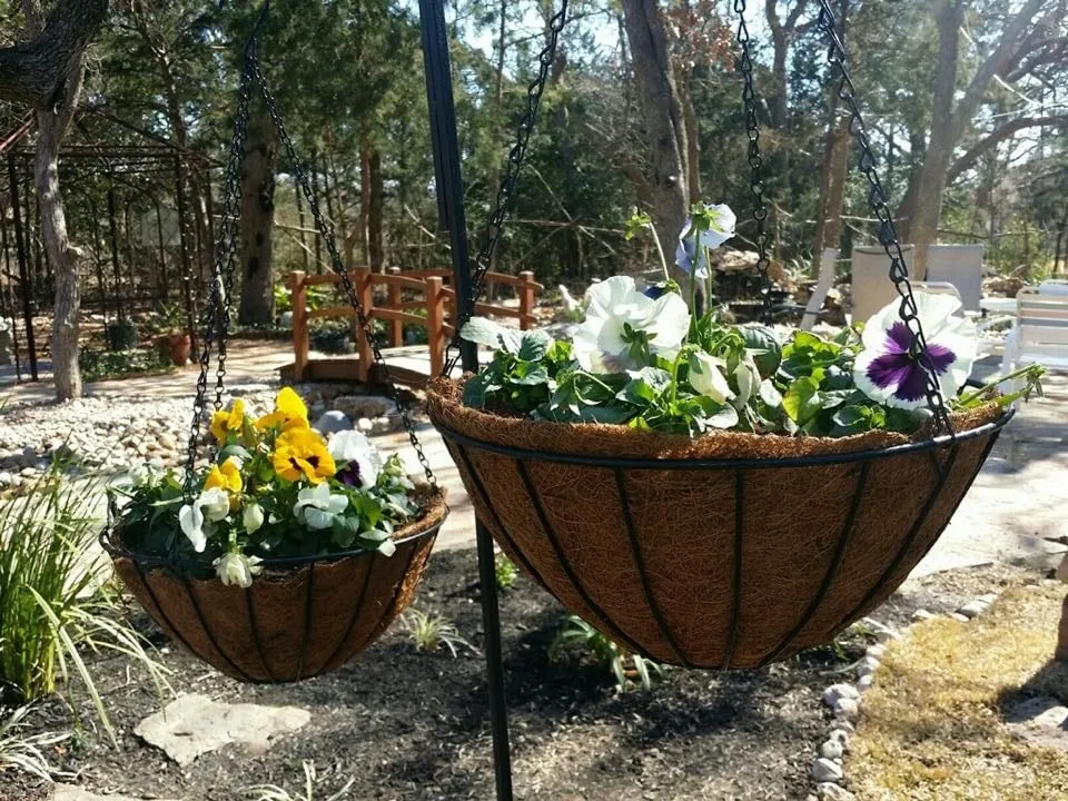 Trusted lawn care service in Austin, TX - Death Metal Landscape