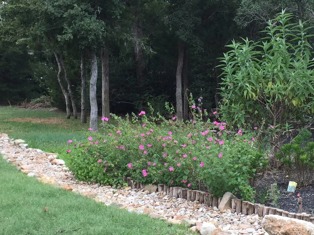 Reliable landscape design in Austin, TX - Death Metal Landscape