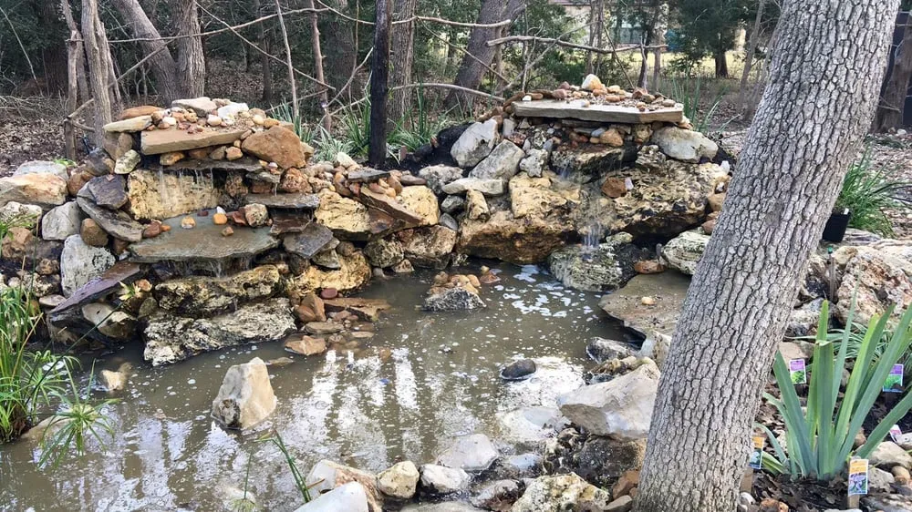 Professional landscape design in Austin, TX - Death Metal Landscape