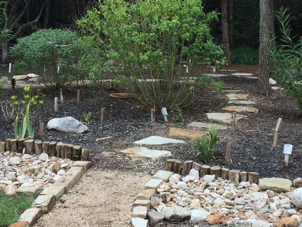 Affordable yard maintenance in Austin, TX - Death Metal Landscape