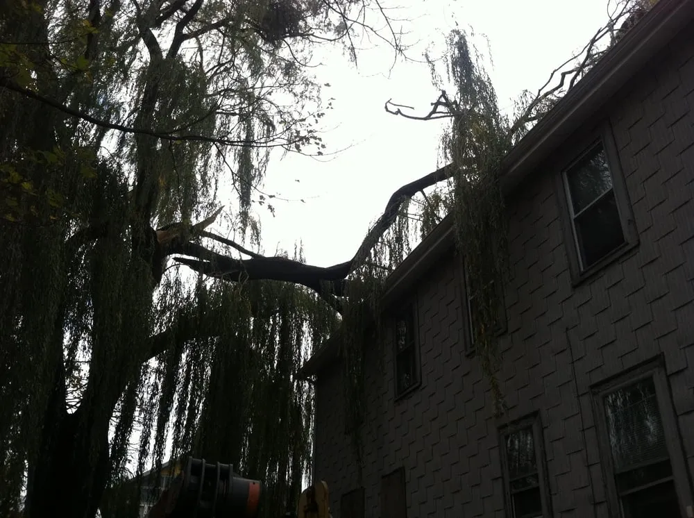 Trusted garden landscaping experts serving Dedham, MA - DeAvila Tree and Landscaping