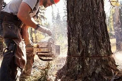 Reliable lawn mowing service for outdoor upgrades in Wallingford, CT by Debaise Landscaping & Tree Removal