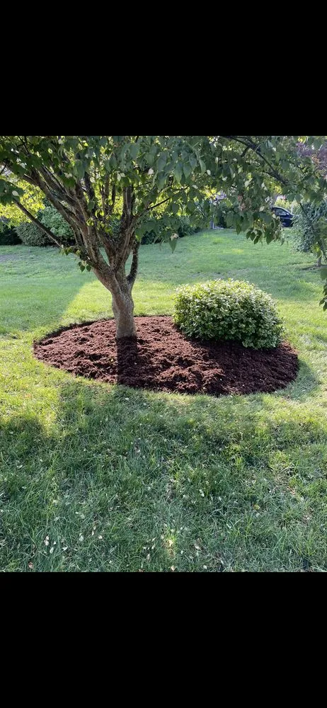 Top-rated yard cleanup service with custom design in Cranston, RI by Debalsi Landscaping
