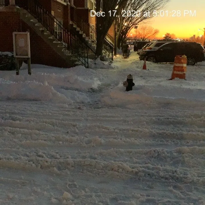 Professional yard cleanup service in New Rochelle, NY - DeBartolo Landscaping, Inc