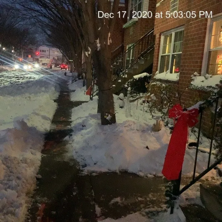 Affordable landscaping services in New Rochelle, NY - DeBartolo Landscaping, Inc