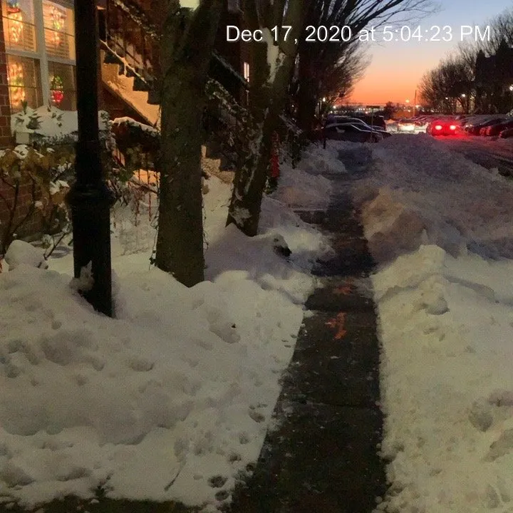 Professional yard maintenance for residential properties across New Rochelle, NY - DeBartolo Landscaping, Inc