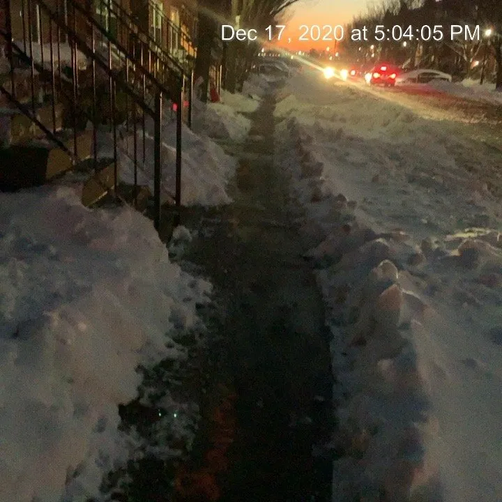 Trusted landscape design experts serving New Rochelle, NY - DeBartolo Landscaping, Inc