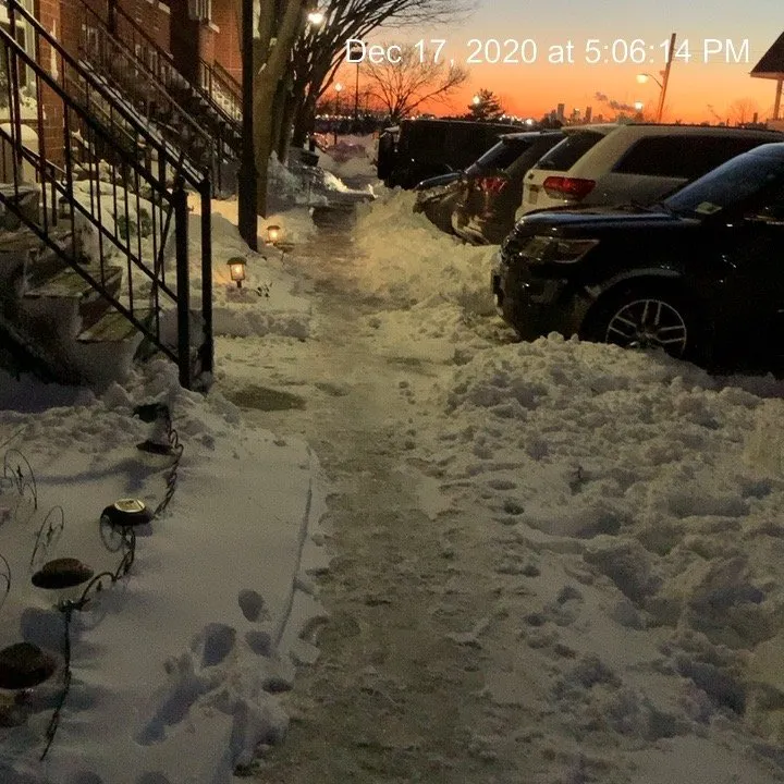 Expert yard maintenance for residential properties across New Rochelle, NY - DeBartolo Landscaping, Inc