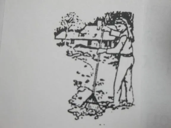 Custom yard cleanup service near you across Cleveland, MO - Debbie's Lawn Busters