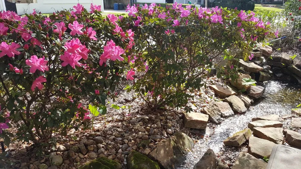 Trusted garden landscaping near you across Houston, TX - Debes Landscaping