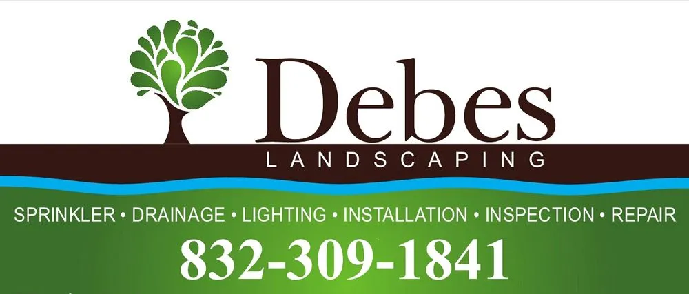 Custom yard cleanup service experts serving Houston, TX - Debes Landscaping