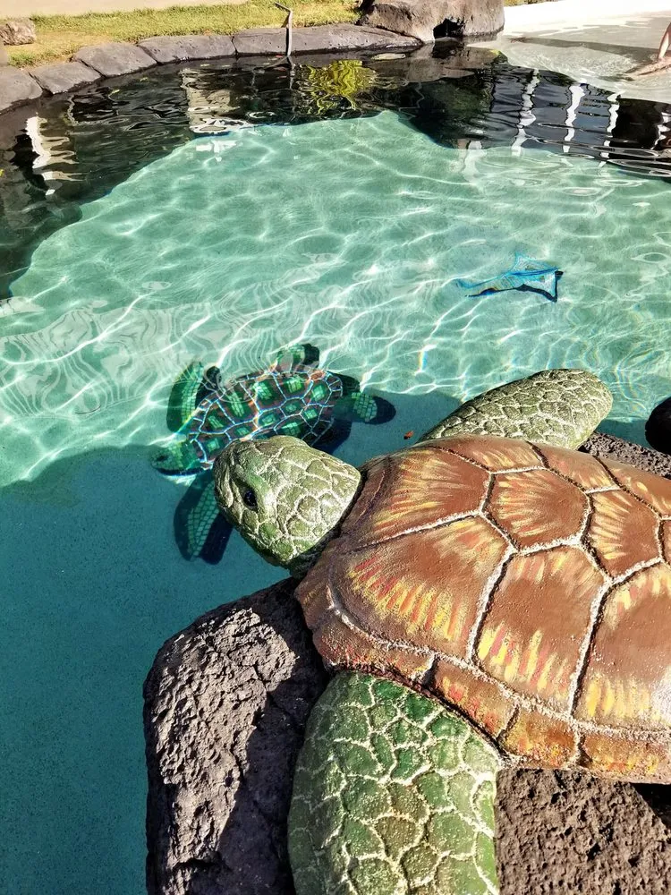 Expert landscape design experts serving Honolulu, HI - DeBiasi Pacific