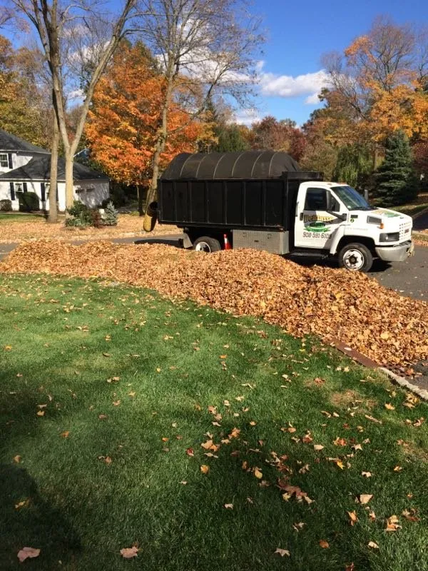 Trusted landscape installation near you in Millington, NJ by Debiasse Brothers Landscape